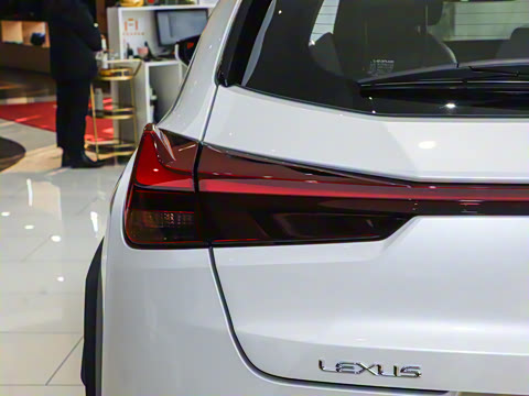 2024�� 300h ̽���