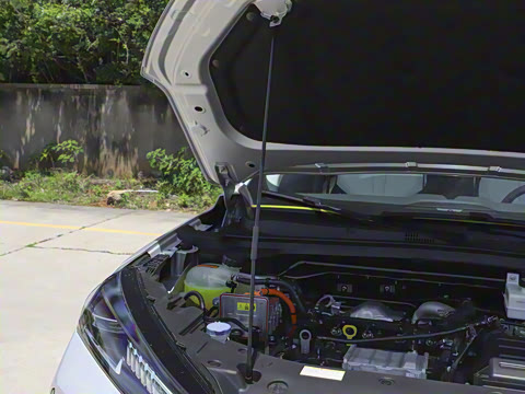 2025�� 205��������������