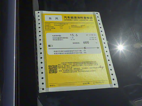 2025�� 636Max���Ȱ� 6��