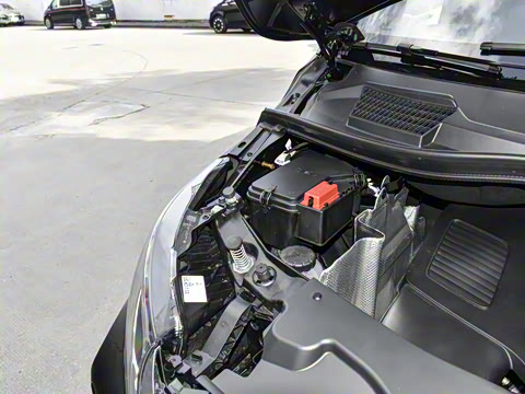 2025�� �������Ȱ�