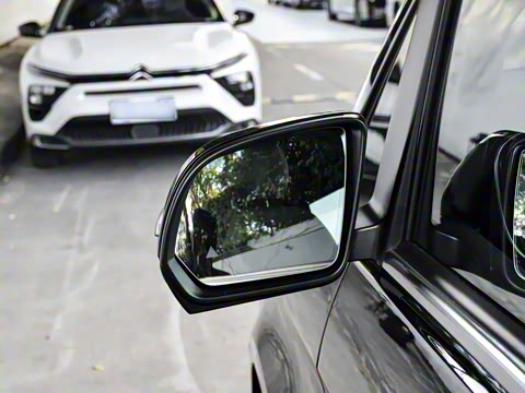 2025�� �������Ȱ�