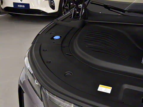 2025�� FREE+ ����Ǭ����