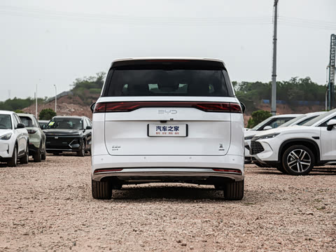 2025�� DM-i 1.5T 100km �캽��