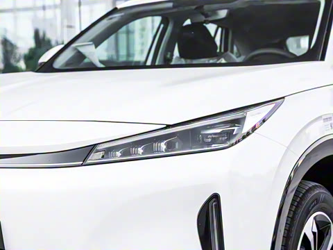 2024�� 135������