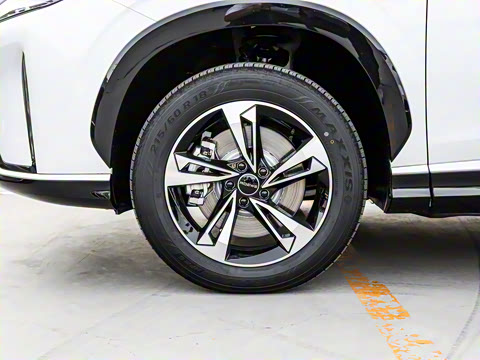 2024�� 135������