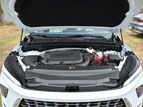 2025�� ������Plus ����Avenir��ά��