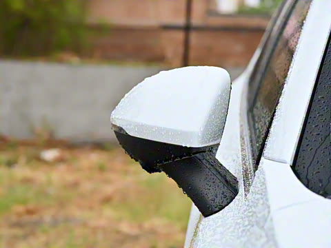 2025�� ������Plus ����Avenir��ά��