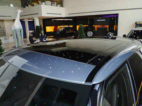 2025�� Dynamic SE