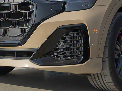 2024�� 55 TFSI ����������