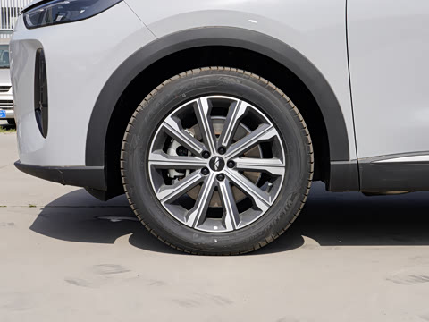 2025�� 120 �������������� 7�� �������