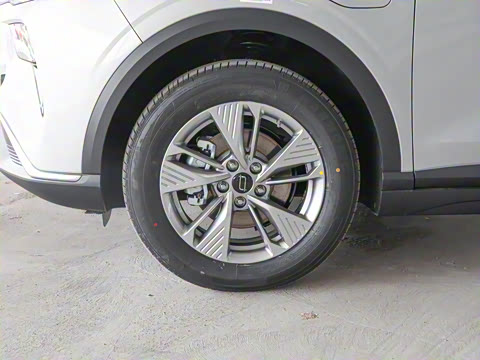 2025�� 445km ���ð�