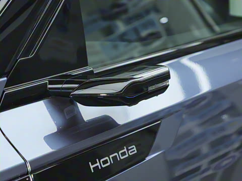 2025�� ����������Pro