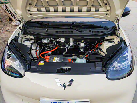 2025�� 333km ��Ϭ������