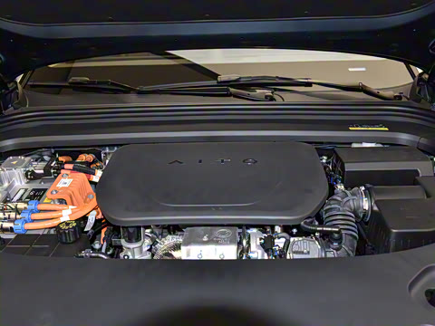 2024�� ���� Max�� 52kWh 5����