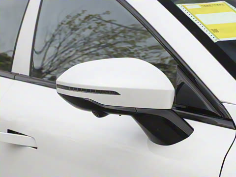 2025�� ���� 230ProѲ����