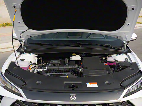 2025�� DM-i �Ǽݰ� 55KM������