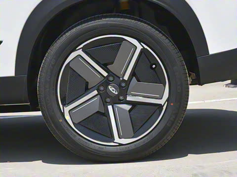 2024�� ������