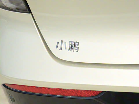 2025�� �������� Max �콢��