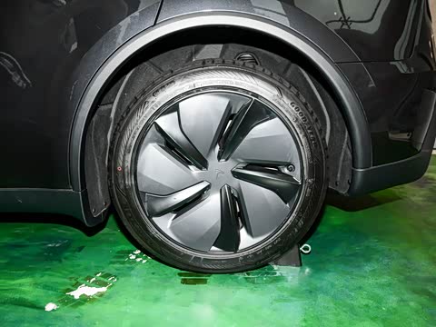 2025�� ����������