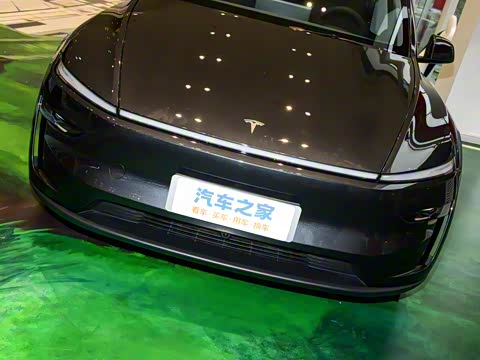 2025�� ����������