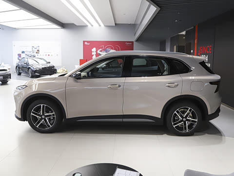 2025�� 425plus ������