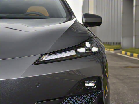 2025�� �����˶���