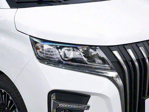 2025�� 2.0L �Զ���������� 9��