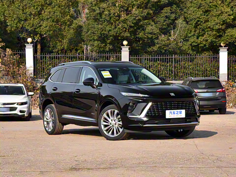 2025�� ������Plus ����Avenir��ά��