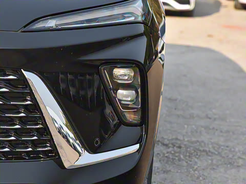 2025�� ������Plus ����Avenir��ά��