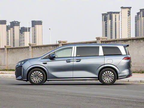 2025�� DM-i 1.5T 100km ��Խ��