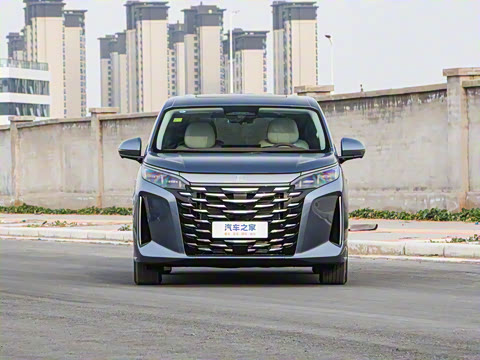 2025�� DM-i 1.5T 100km ��Խ��