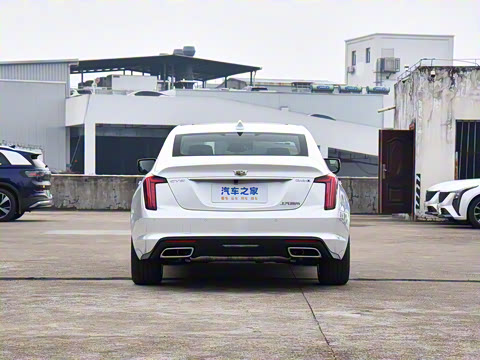 2025�� 28T �����˶���