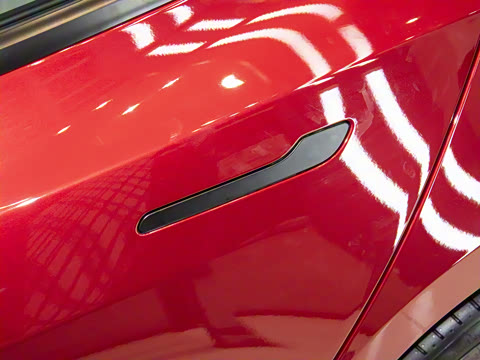 2025�� ����������