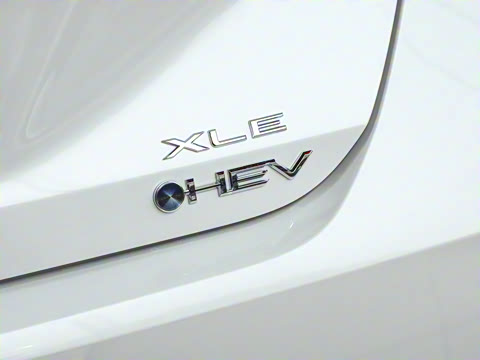 2024�� ˫�� 2.5L XLE����