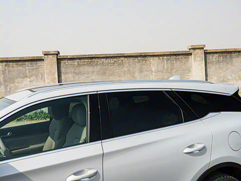 2025�� �Ǽݰ� DM-i 115KM �����