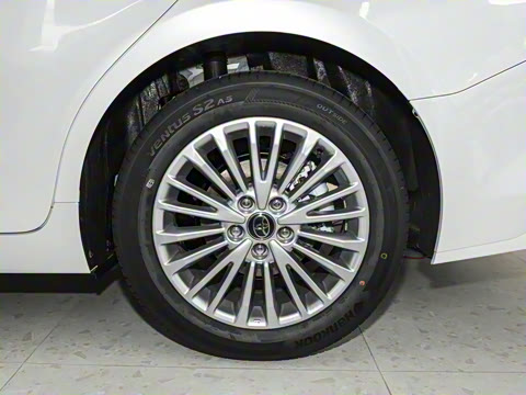 2024�� ˫�� 2.0HGVP ������