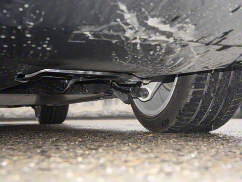 2025�� ����������