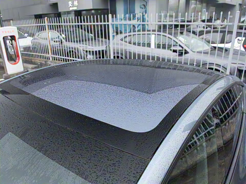 2025�� ����������