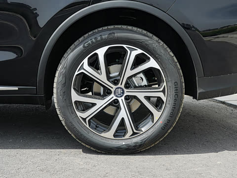 2025�� DM-i 175KM �캽��