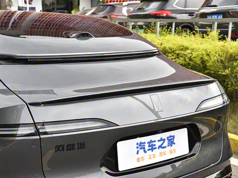 2025�� Max�����