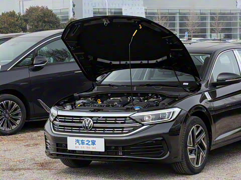 2025�� �Ŀ� 300TSI DSG��Խ��