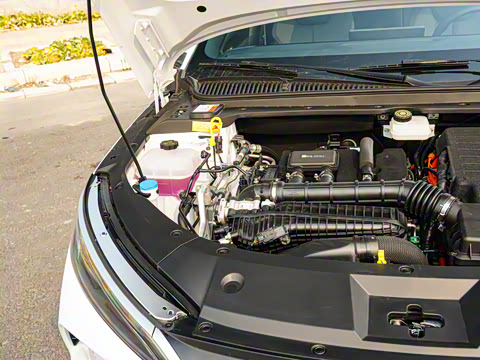 2025�� DM-i �Ǽݰ� 80KM��Խ��