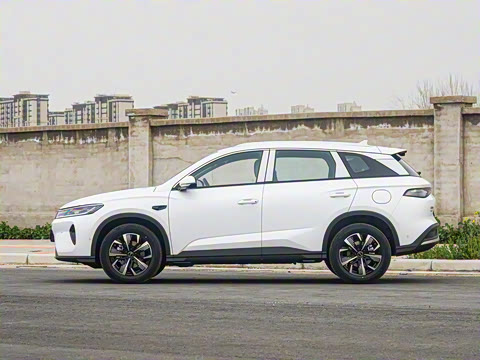 2025�� DM-i �Ǽݰ� 115KM������