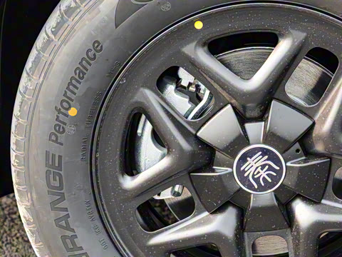 2025�� DM-i �Ǽݰ� 55KM������