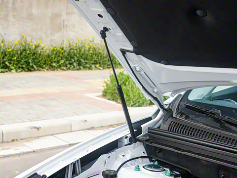 2025�� DM-i �Ǽݰ� 115KM�콢��