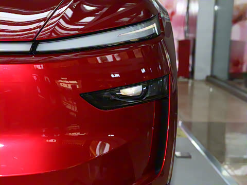 2025�� ����������