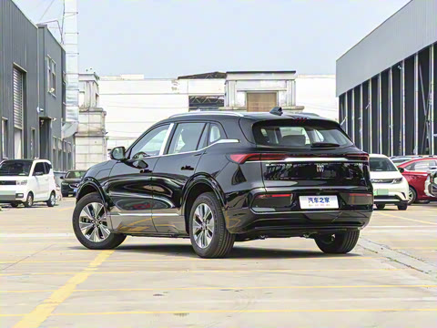 2025�� 515KM������