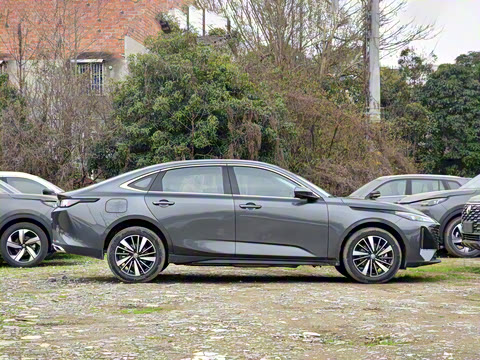 2025�� �ǻ������� 145KM ս����