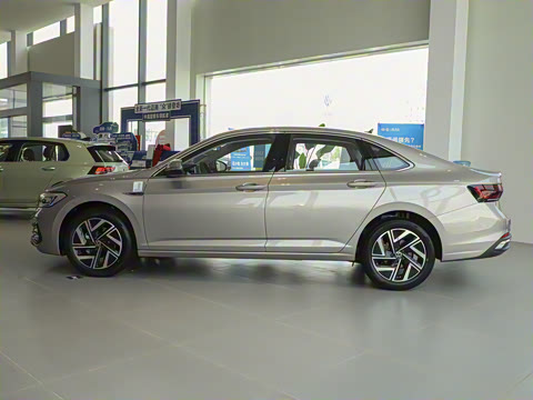 2025�� �Ŀ� 300TSI DSG��Խ��