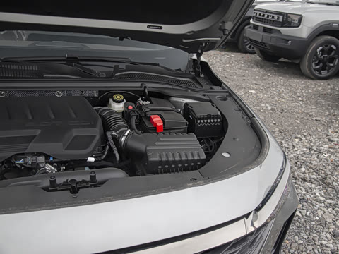 2025�� 2.0T �Զ���+